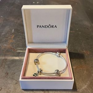 Pandora Bracelet and charm